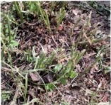 Оптимальная высота среза