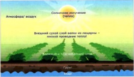 Сушка в валке на влажной почве