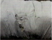 Рукав с образованием складок, частично поврежден и с дырами