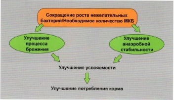 Цели применения средств для силоса